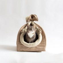 cat house bed